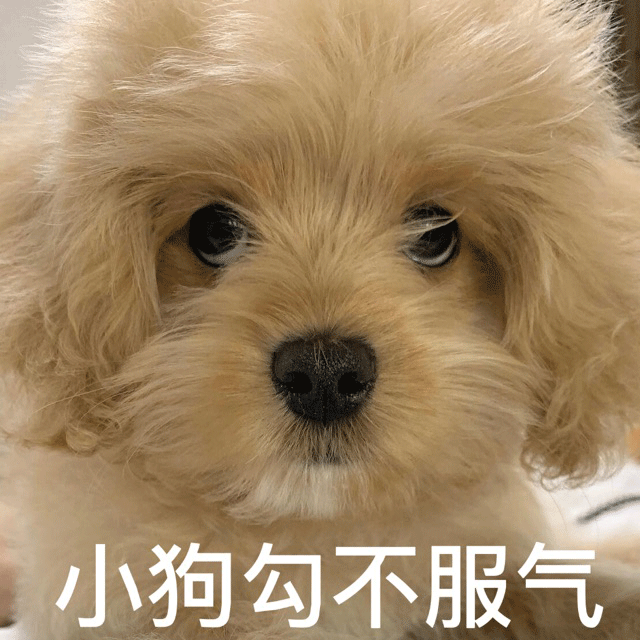 表情区域分享一期爱屋及乌精选沙雕表情包,喜欢的朋友点赞分享支持一