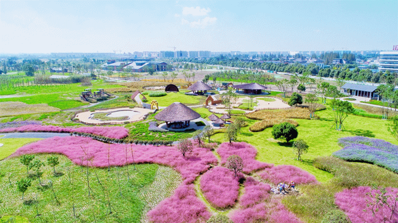 成都环城生态公园两大新园区成为国庆新晋网红地标