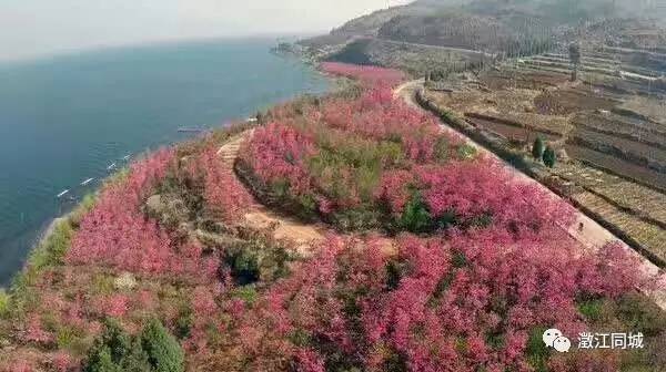 澄江的GDP_澄江欢乐大世界游乐园(3)