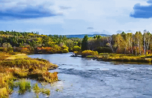 495_320gif 动态图 动图