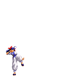 双叶萤使用中国拳法进行战斗,充分吸收了太极拳,八卦掌,劈挂拳等柔系