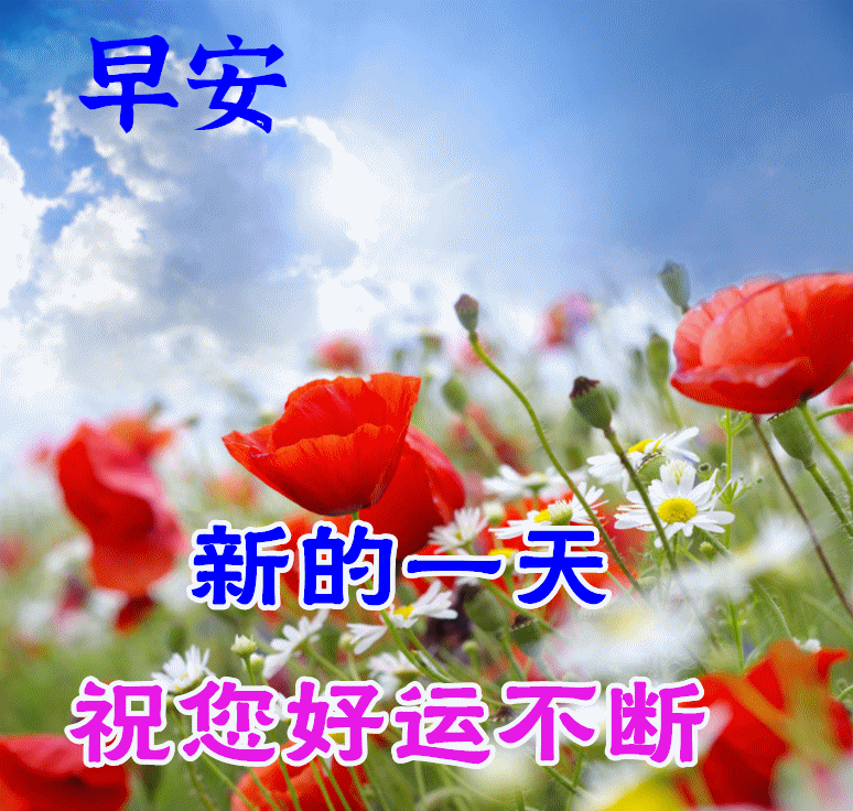 2022年4月6日特漂亮最新版早安动态图片 早上好祝福语句子!