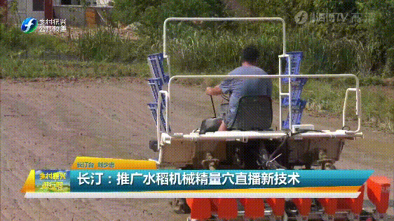 示范推广水稻机械精量穴直播技术