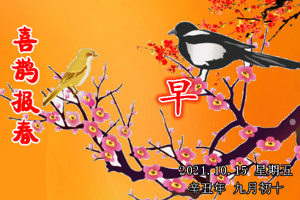 星期四最美早晨问候动态表情图片2021最新早上好鲜花动态祝福图片