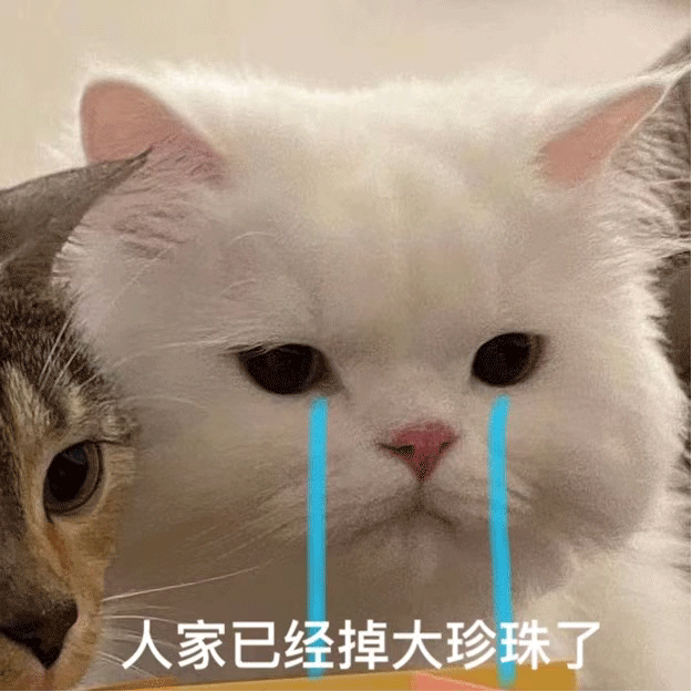 猫猫委屈表情包人家已经掉大珍珠了