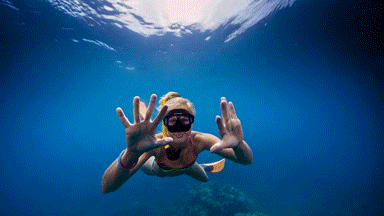 【随影而学】第80期:观球幕影片《大堡礁探险》,领略海洋自然奥秘