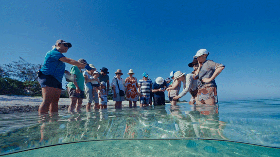 【随影而学】第80期:观球幕影片《大堡礁探险》,领略海洋自然奥秘