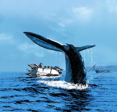 印尼最后的捕鲸人,该消失吗?