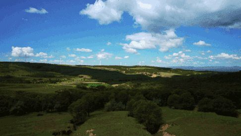 沙漠里为什么会形成绿洲