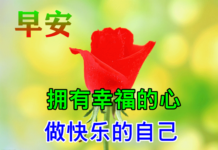 创意唯美的早上好问候祝福语图片文字 早上好祝福语图片大全 腾讯新闻