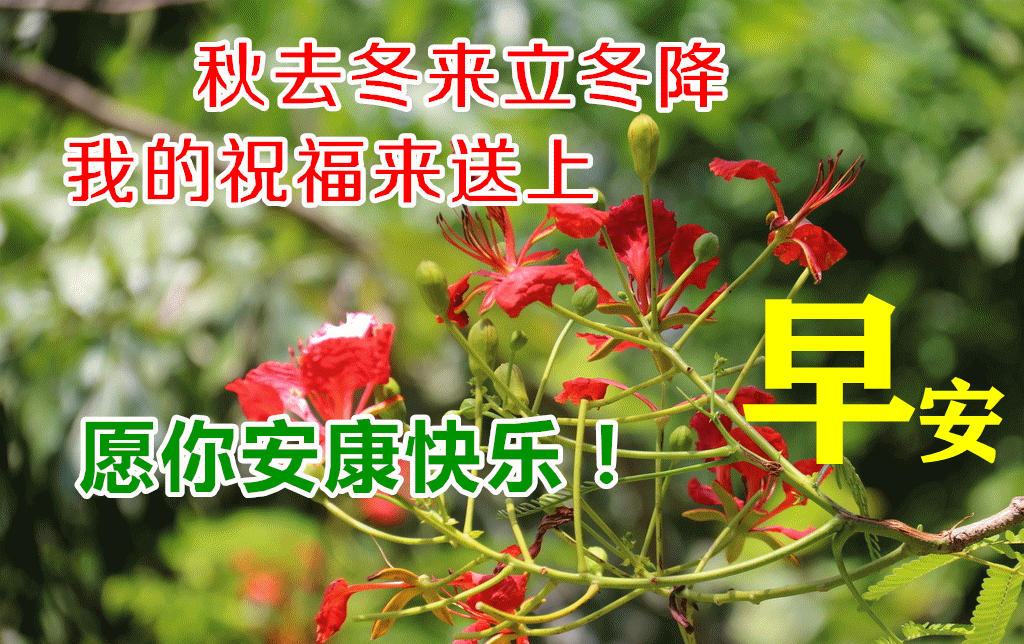 2021年温馨的立冬天早上好问候语动态图片带字冬天暖心早好祝福句子