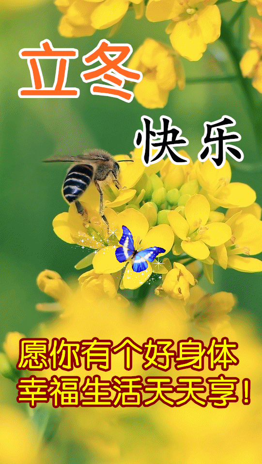2021年温馨的立冬67天早上好问候语动态图片带字 冬天暖心早好祝福