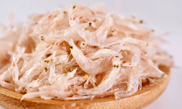 毛虾苗的原产地在哪毛虾有什么特征