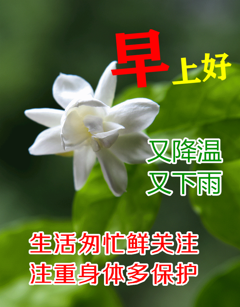 9张最美冬日风景雪景早上好祝福图片带字温馨 好看的冬天清晨风景早安