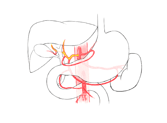 640_474gif 动态图 动图