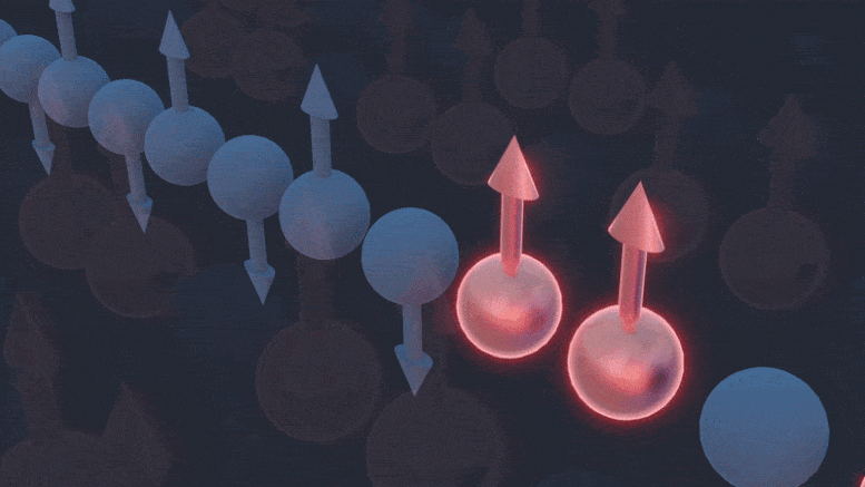 科学家成功模拟并测量了自旋磁性粒子的kpz运动