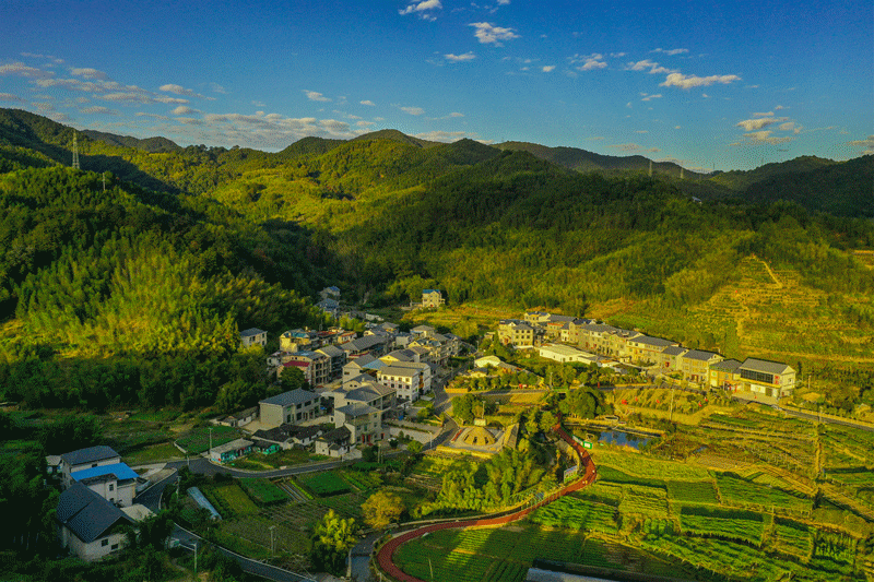 上杭古田镇竹岭村竹岭名片上杭竹岭村:乡村美,产业旺!