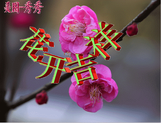 聊天的早上好动态表情图片包2021好看的冬天早上好问候祝福动画表情包