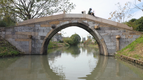 今天带你探寻奉贤"银杏王" ,奉贤最古老的石拱桥!