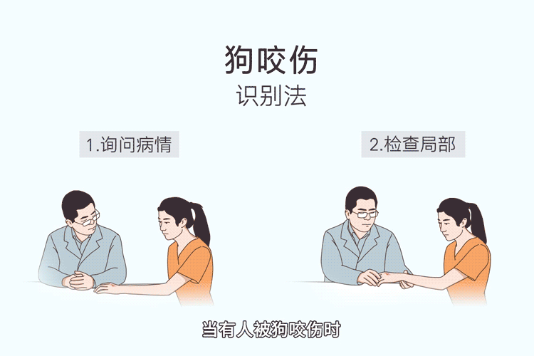 狗患纠纷到底还是狗仗人势了希望这些知识以后都用不上吧