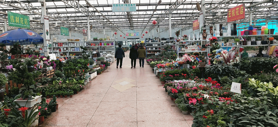 石河子新开了一个大型市场,先逛为快……_腾讯新闻