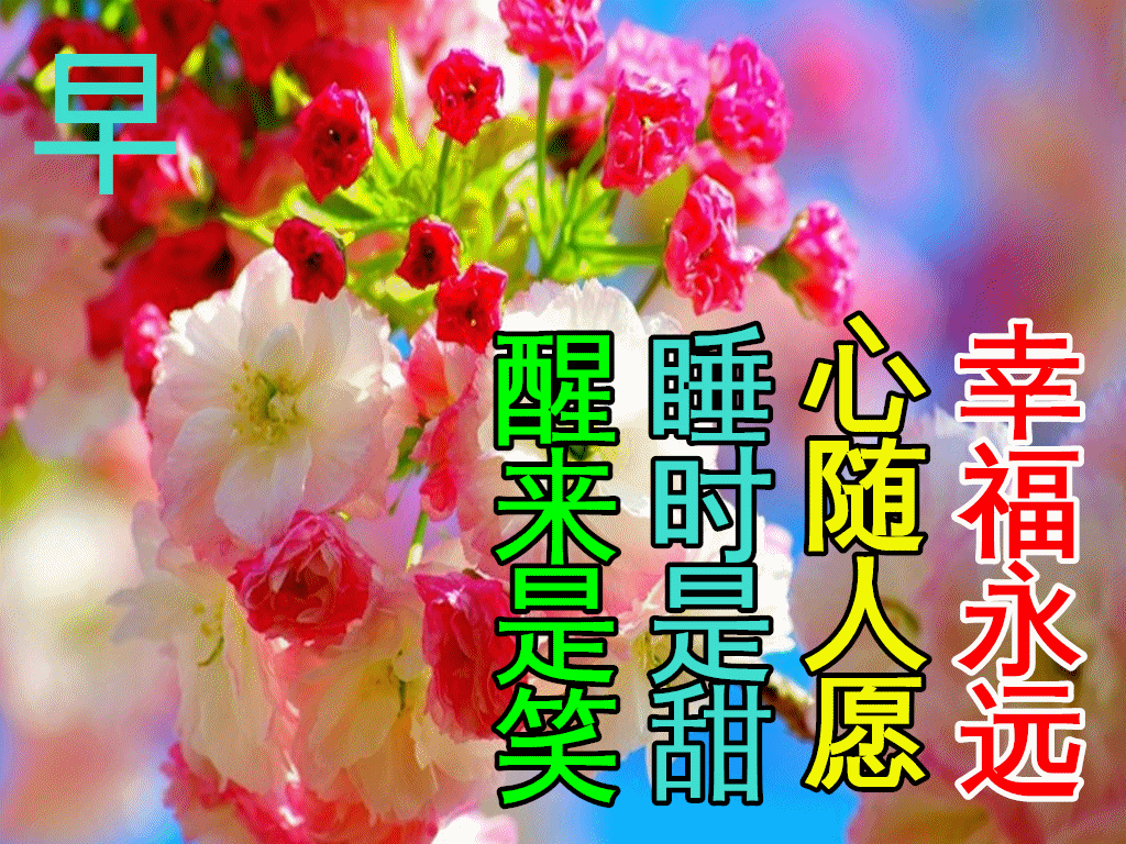 12月4日最新早上好日常祝福语大全,早晨好日常问候语录新版!