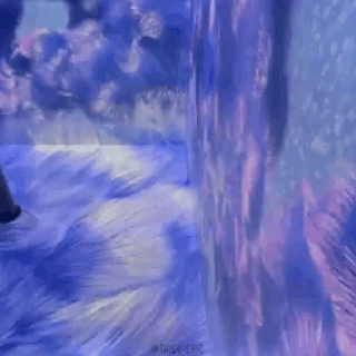 22年度流行色 自带仙气的长春花蓝来啦 腾讯新闻