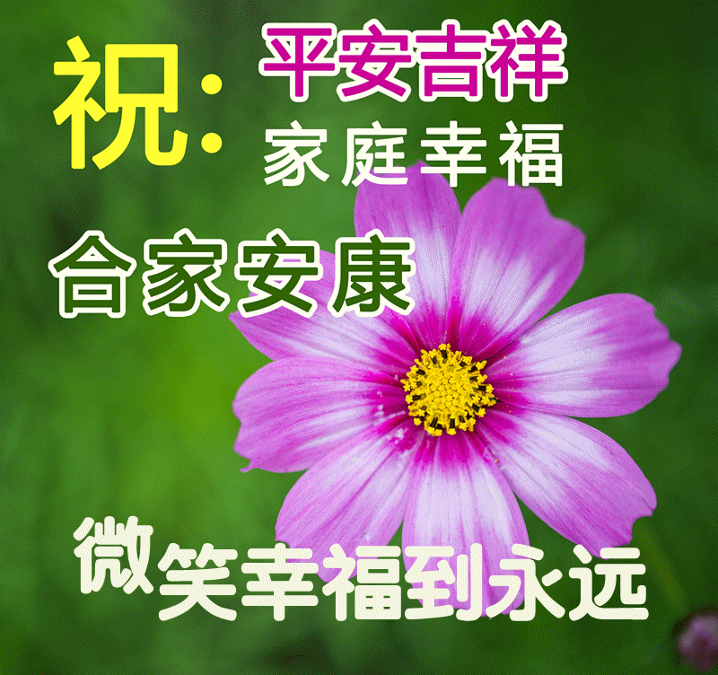 12月10日早上好送祝福是万年修来的我真心祝你快乐幸福每一天