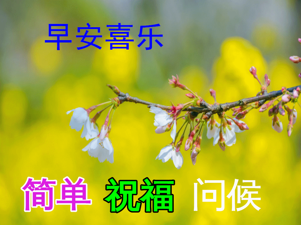1月29日最新早上好日常祝福语大全,早晨好日常问候语录新版!