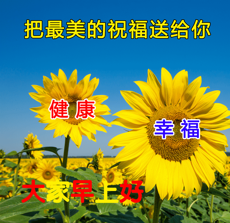 以平常心对待人生人生将无处不是坦途早安