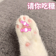 全部免费!鹤壁这里免费"找对象",还有千份潮品等你抽
