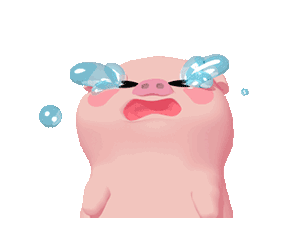 可爱猪猪表情包合集