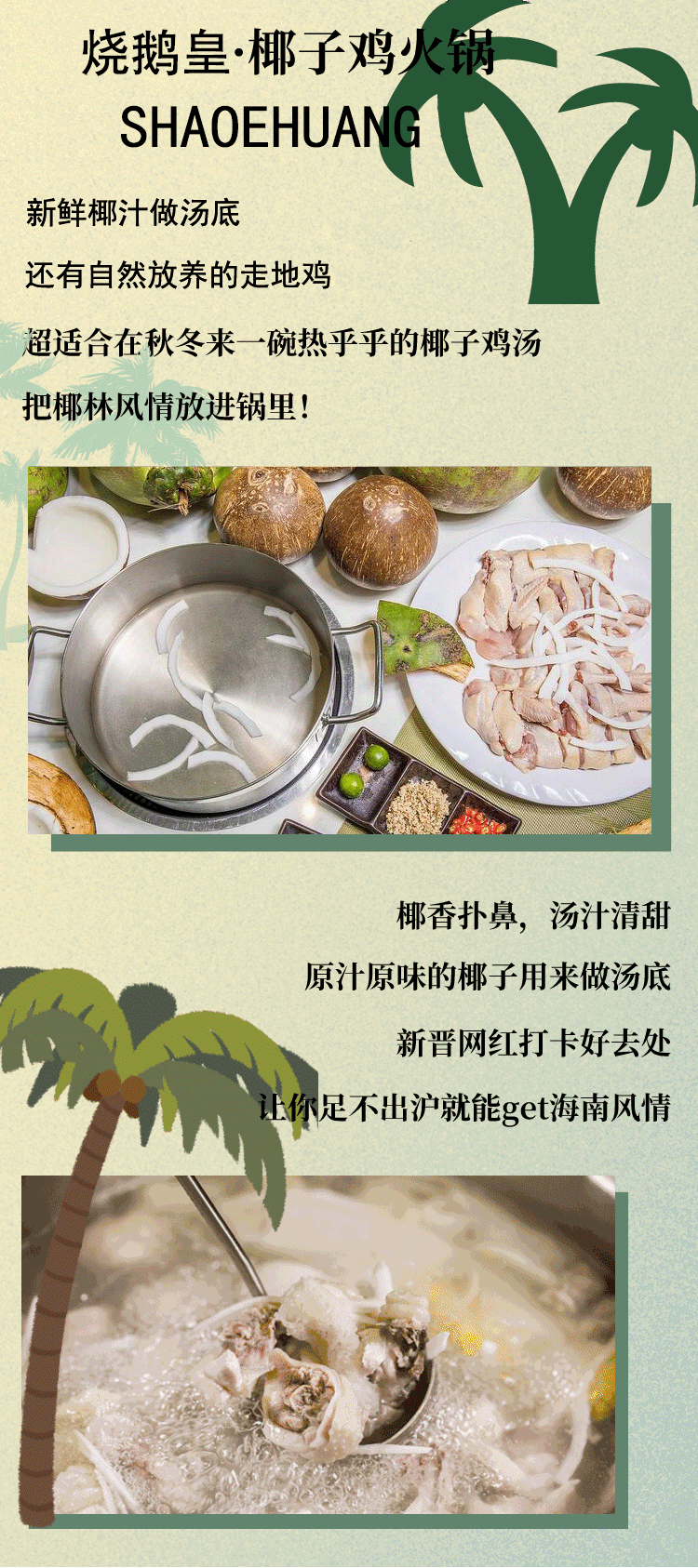 在新丰58元就能吃椰子鸡火锅套餐?赶紧约上三两好友一起