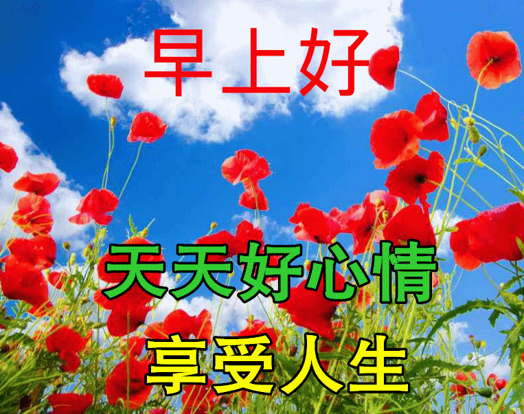 冬日最新特漂亮早上好图片动态表情大全,最美风景早上好美图大全