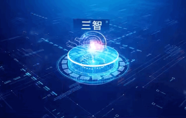 "三智"合作理念全国海关深入落实