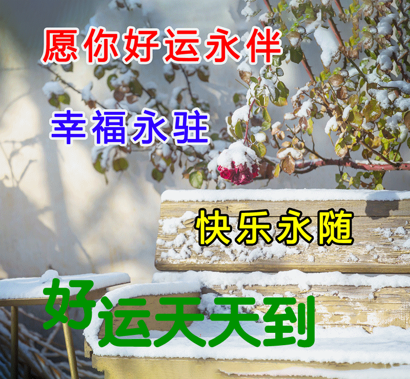 2021年最新下雪天冷问候动画图片,天冷早上好祝福语句正能量句子