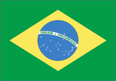 巴西球迷烧国旗_巴西国旗_两面国旗四面国旗六面国旗