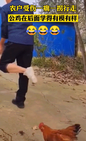 大师相中哪位了