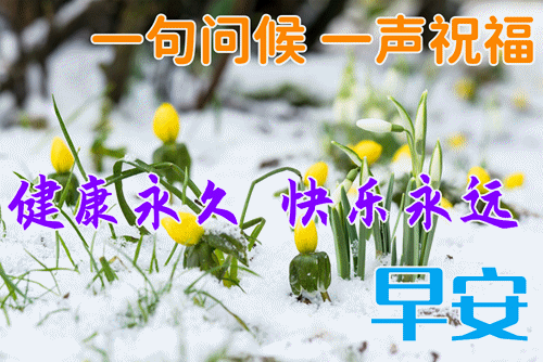 漂亮的早上好动态表情图片大全,早上好动图美图大全!