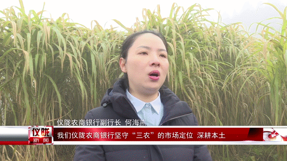 仪陇农商银行副行长 何海燕:我们仪陇农商银行坚守"三农"的市场定位