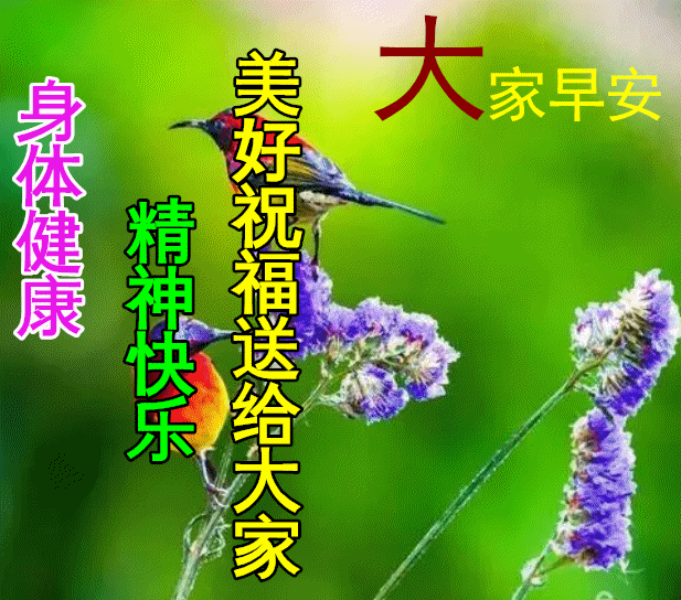 懂包容懂尊重懂让步就是一个人的善早安