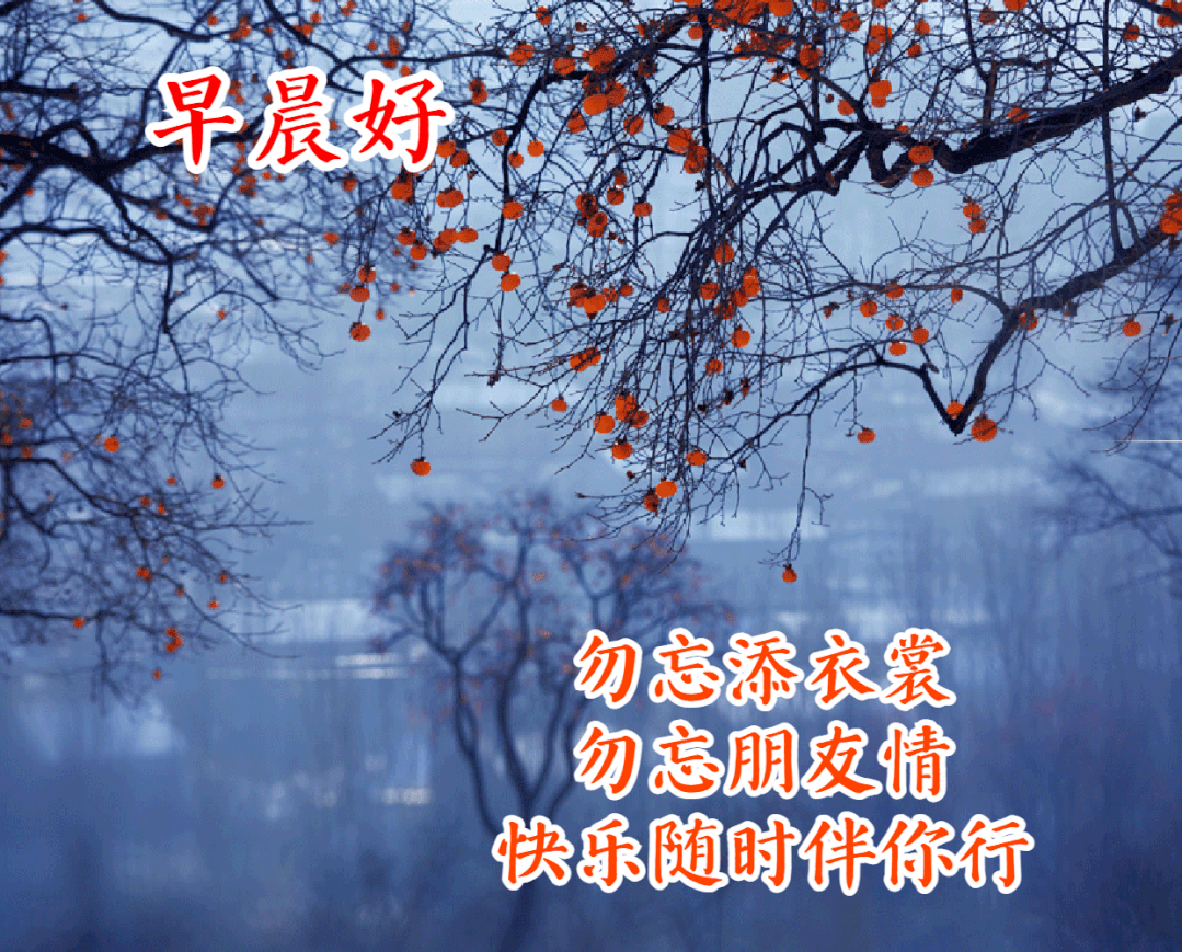 往事不回头未来不将就你若盛开蝴蝶自来早安