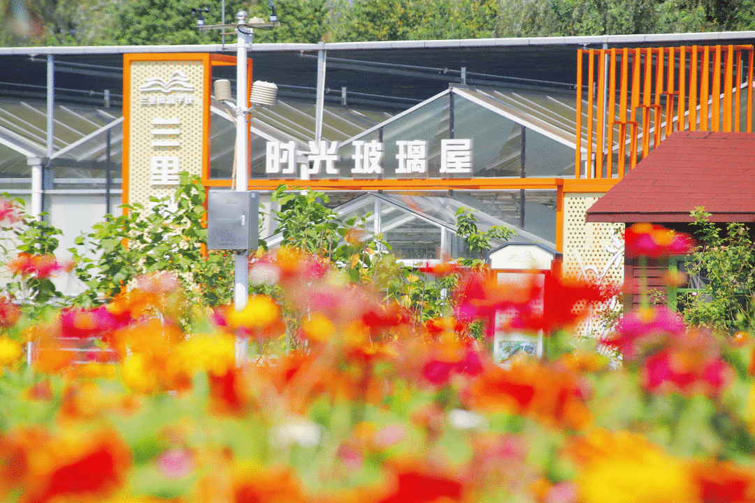 市政协领导毛溪浩莅临兰里研学大本营开展"助企开门红"调研活动