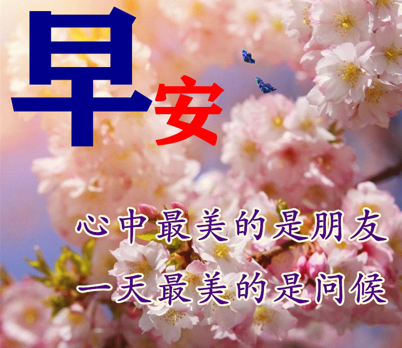 早晨问好早安的唯美句子和图片 早上好问候美句动态表情图片