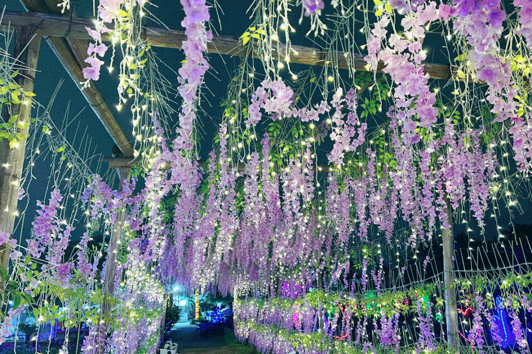 的灯光夜景花田农庄别有一番滋味当夜幕降临真是春节澄海本地游好去处