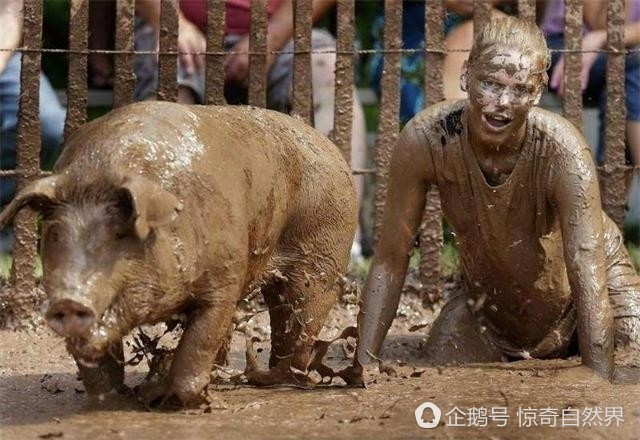俄怀明州人口_人口普查(2)