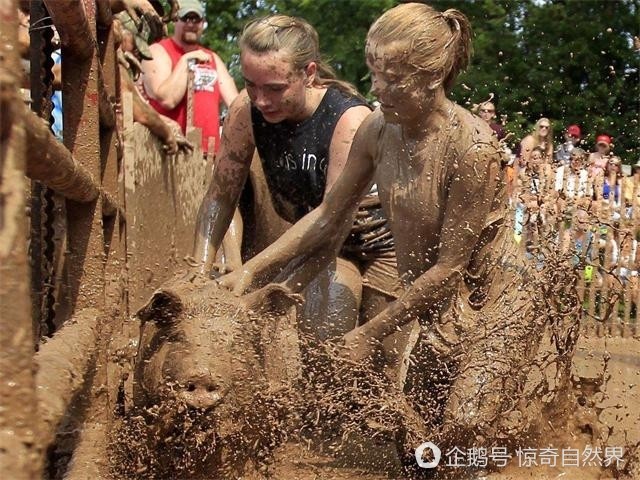 俄怀明州人口_人口普查(2)