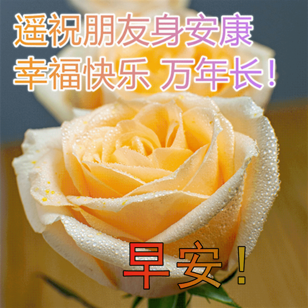 1月31日星期一漂亮最新版早安祝福图片微信群发暖人心的周一早上好