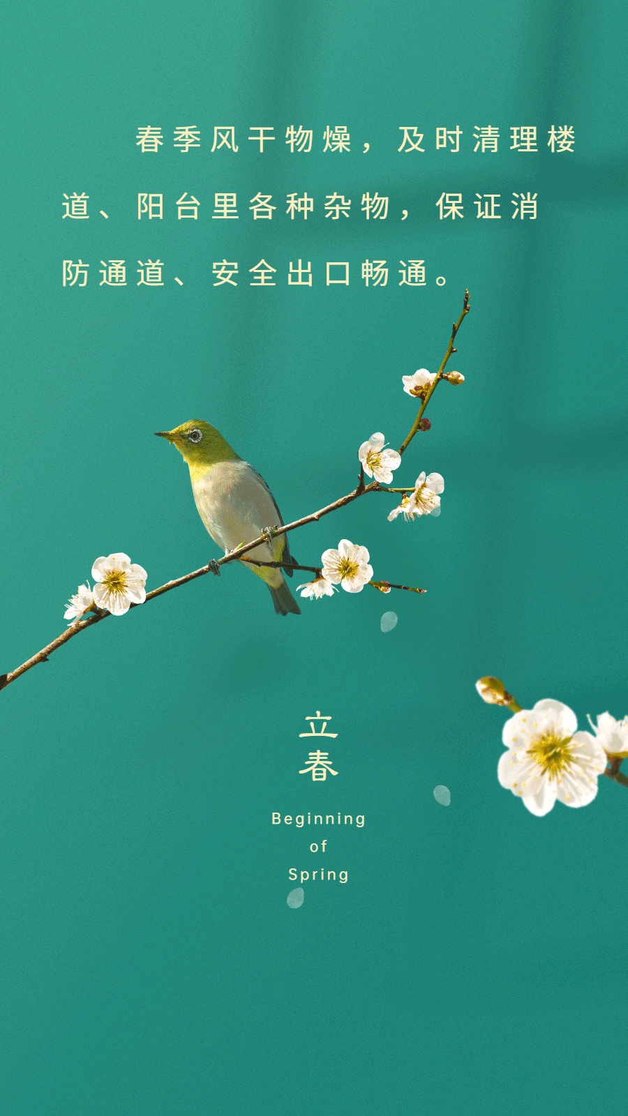 今日立春|春回大地新,安全从防火开始