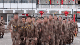 中国队第2金！任子威！lilychen学英语